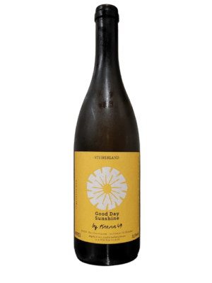 Good Day Sunshine_Krenn49